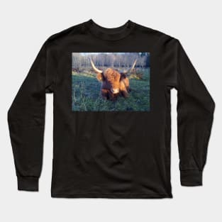 Scottish Highland Cattle Cow 1002 Long Sleeve T-Shirt